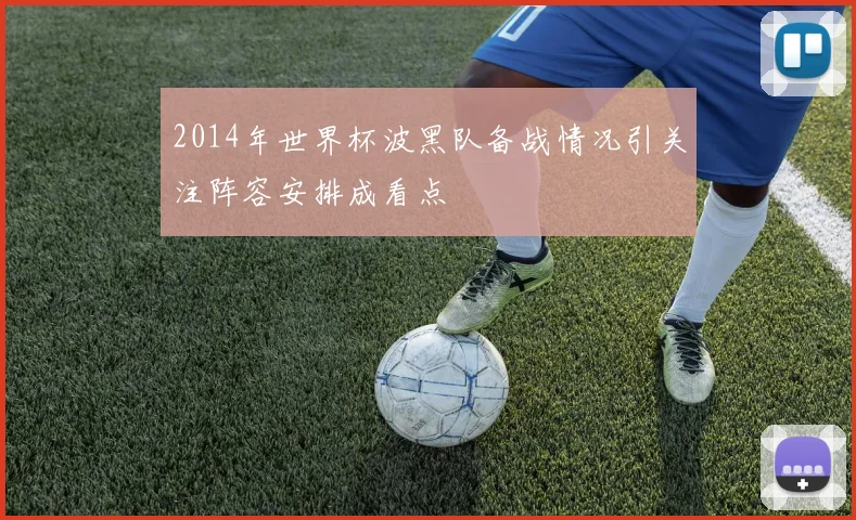 2014年世界杯波黑队备战情况引关注阵容安排成看点